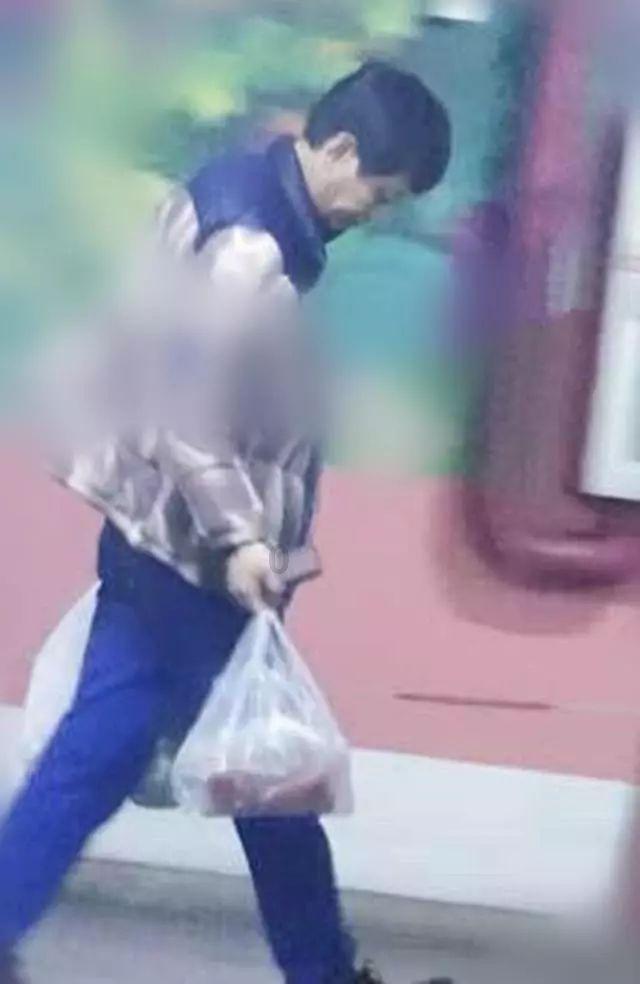强大的狮子拼图